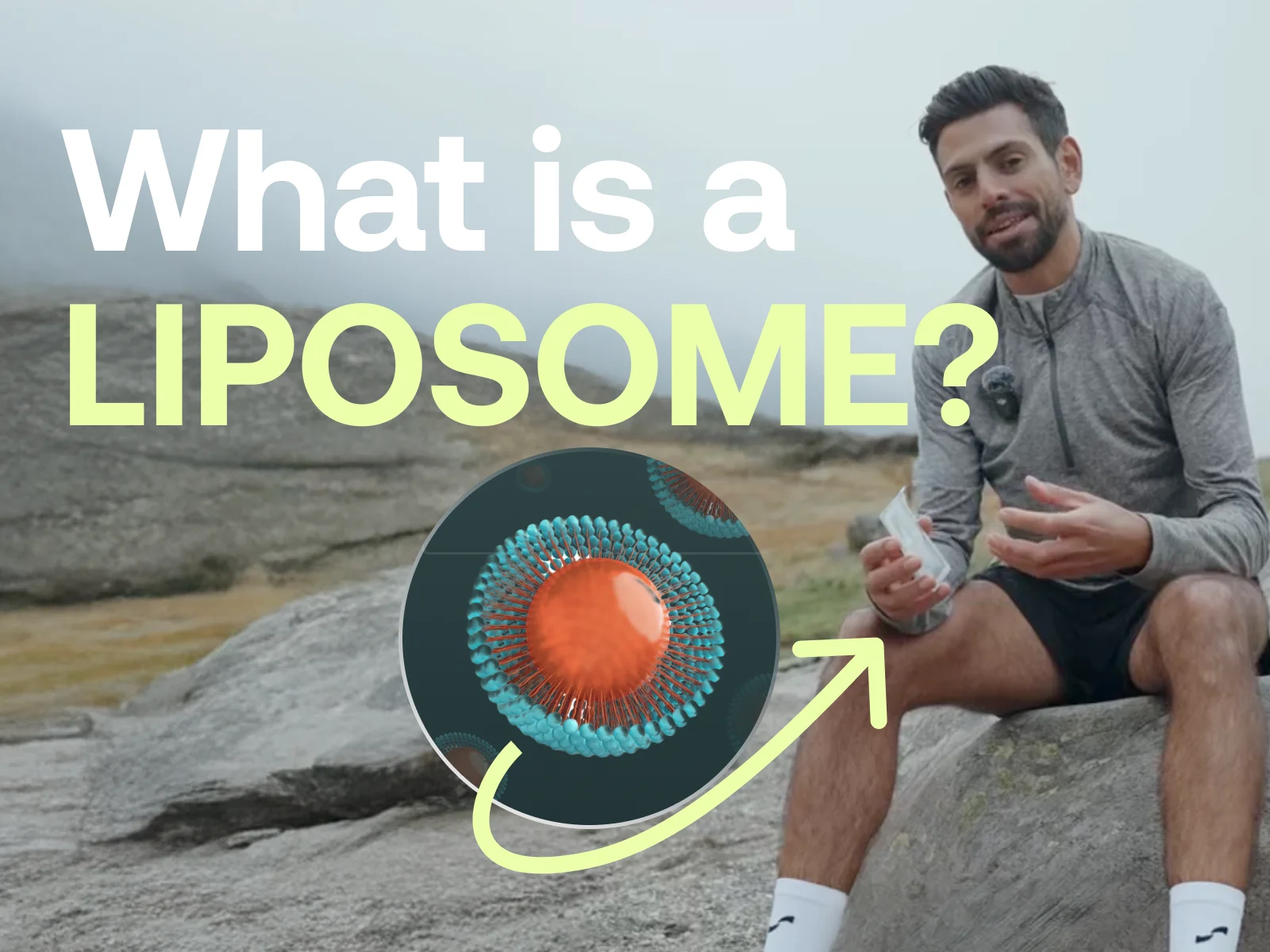 Liposomal & Methylated Vitamins: What Makes SD-01 Different?